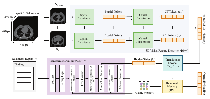 CT2Rep architecture