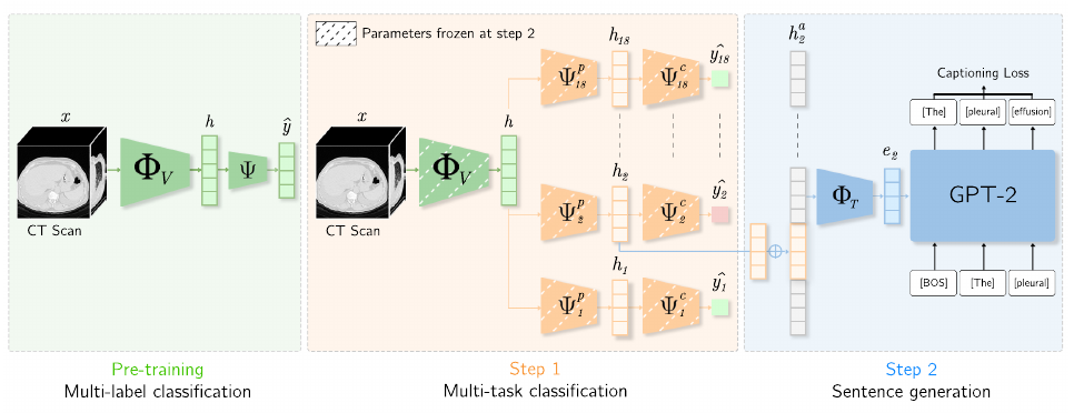 CT-AGRG classification and generation pipeline