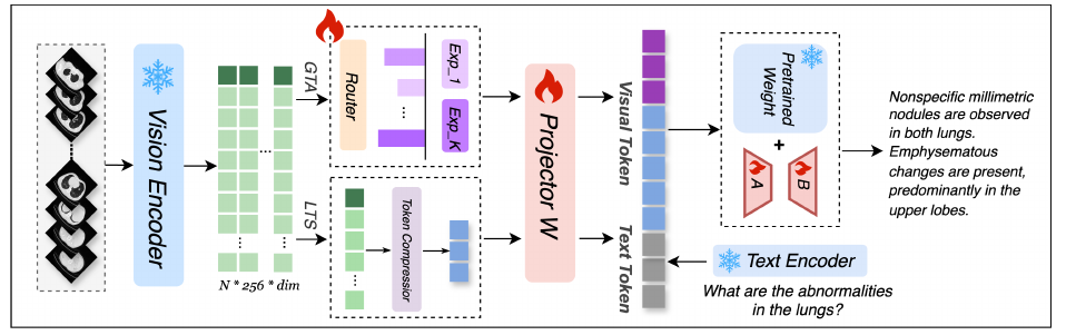 CT-Agent anatomy-aware reasoning tool architecture